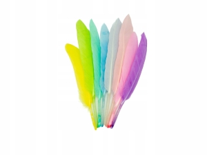 Pióra Kreatywne Piórka Ozdobne Dekoracyjne