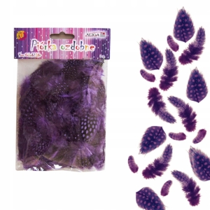 Pióra Kreatywne Piórka Fioletowe Dekoracyjne