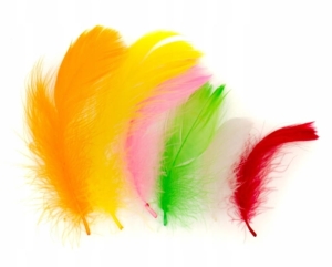 Pióra Kreatywne Piórka KOLOR PUCHOWE Dekoracyjne